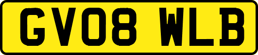 GV08WLB