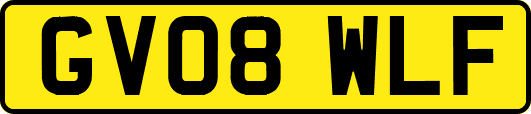 GV08WLF