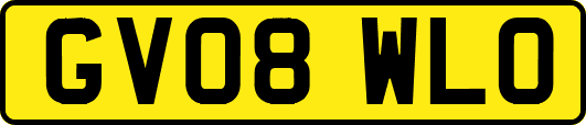 GV08WLO