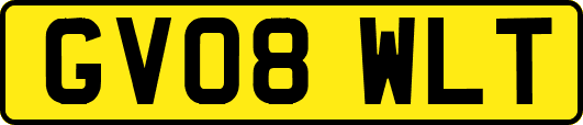 GV08WLT