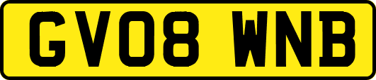 GV08WNB
