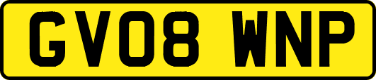 GV08WNP