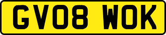 GV08WOK