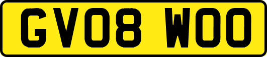 GV08WOO