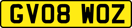GV08WOZ