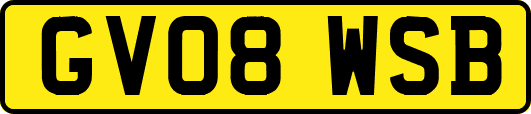 GV08WSB