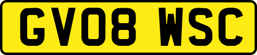 GV08WSC