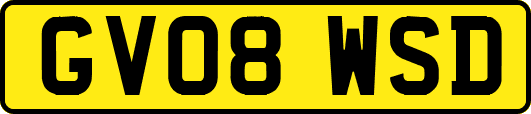 GV08WSD