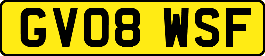 GV08WSF