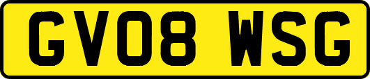 GV08WSG