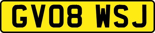 GV08WSJ