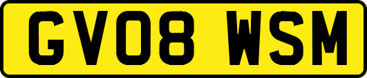 GV08WSM