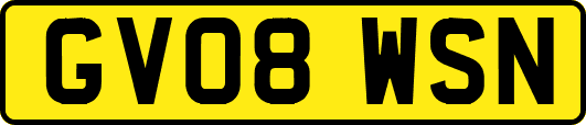 GV08WSN