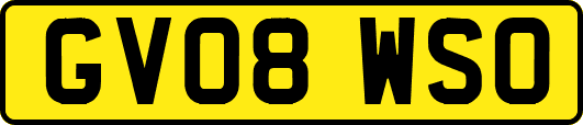 GV08WSO