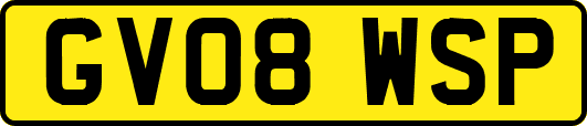 GV08WSP