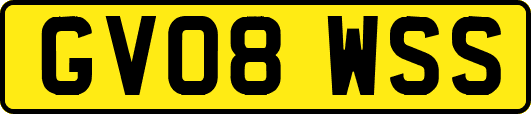 GV08WSS