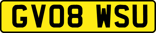 GV08WSU