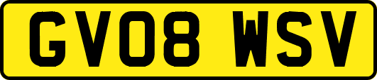 GV08WSV