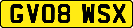 GV08WSX
