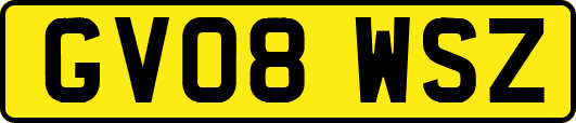 GV08WSZ