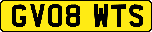 GV08WTS
