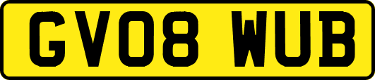 GV08WUB