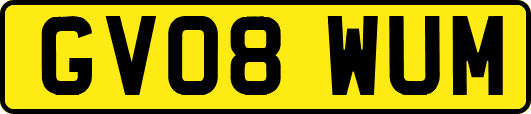 GV08WUM