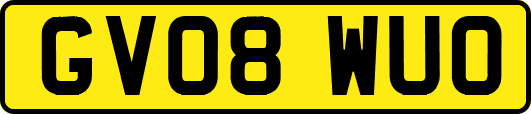 GV08WUO