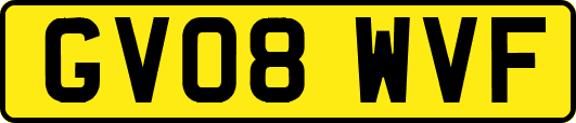 GV08WVF
