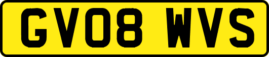 GV08WVS