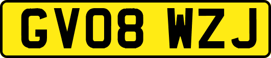 GV08WZJ