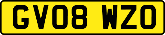 GV08WZO