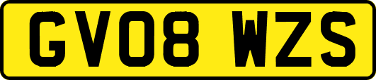 GV08WZS