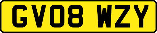 GV08WZY