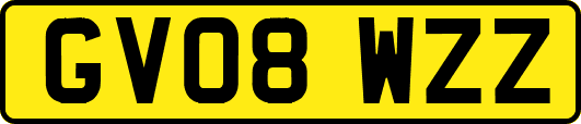 GV08WZZ