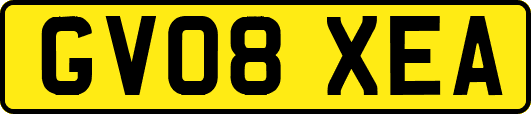 GV08XEA