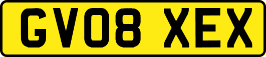 GV08XEX