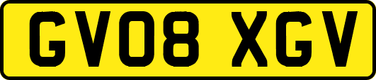 GV08XGV