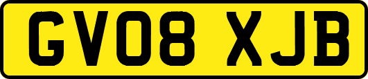 GV08XJB