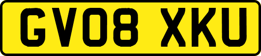 GV08XKU