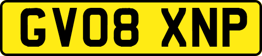 GV08XNP
