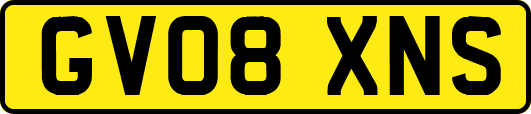 GV08XNS