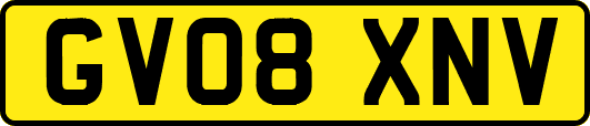 GV08XNV