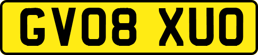 GV08XUO