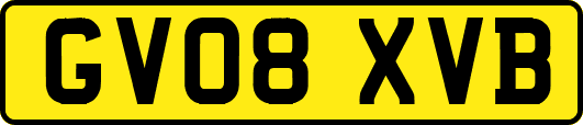 GV08XVB