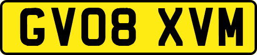 GV08XVM