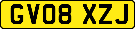 GV08XZJ
