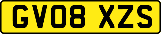 GV08XZS