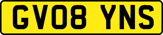 GV08YNS