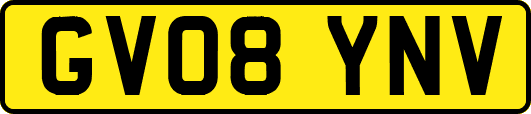 GV08YNV